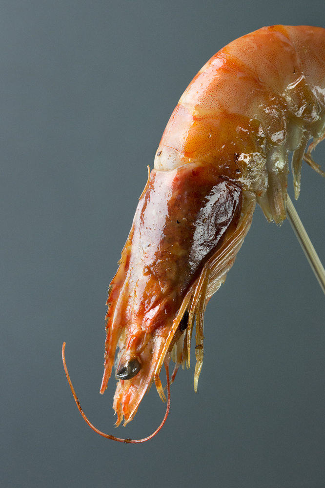 Cooked king prawn on a skewer, Liverpool, Southport, Preston Food Photographer UK, Fish