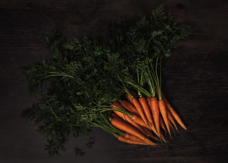 Fresh Carrots on a dark background with green leaves. Dark photography