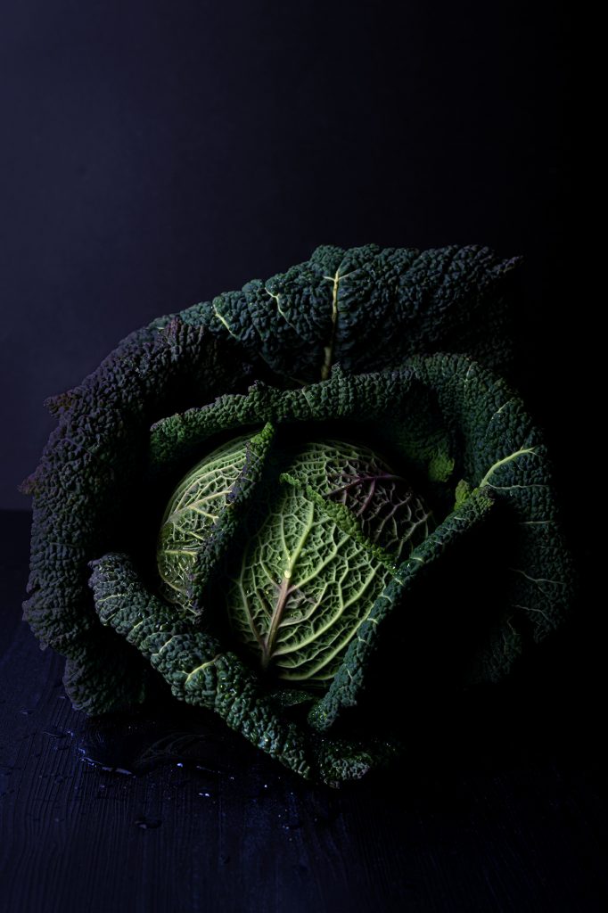 Wet savoy cabbage food photography shot on a dark background food photographer Patricia Niland