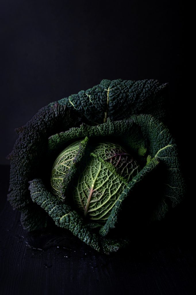 Savoy cabbage with drop of water on the leaves shot on a dark background. Dark photography