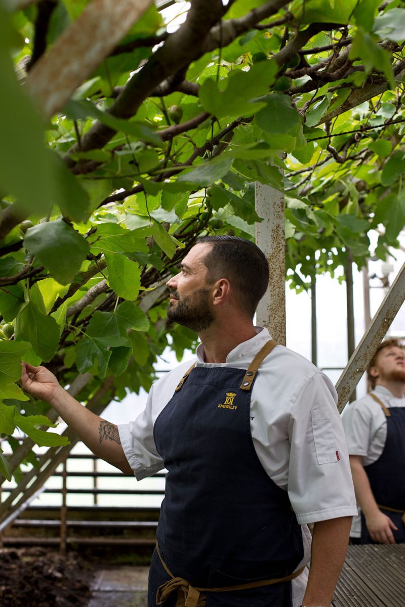 Knowsley Hall Gardens Chef in greenhouse with fresh produce figs food and lifestyle photographer UK